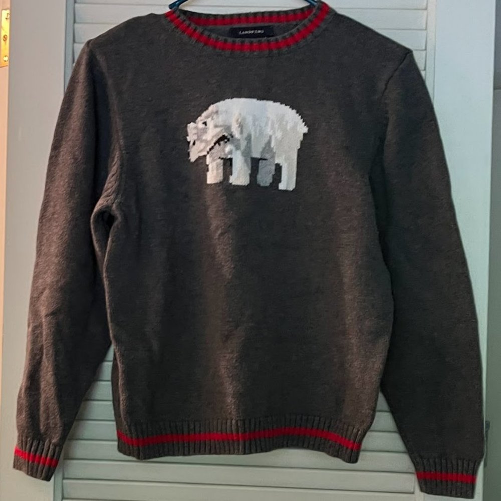 Boys Land End's Polar Bear Sweater - Size Boys Large